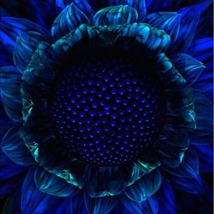 Meet your Posher, Lolo